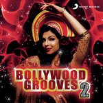 Bollywood Grooves, 2 - Tochi Raina Song Download